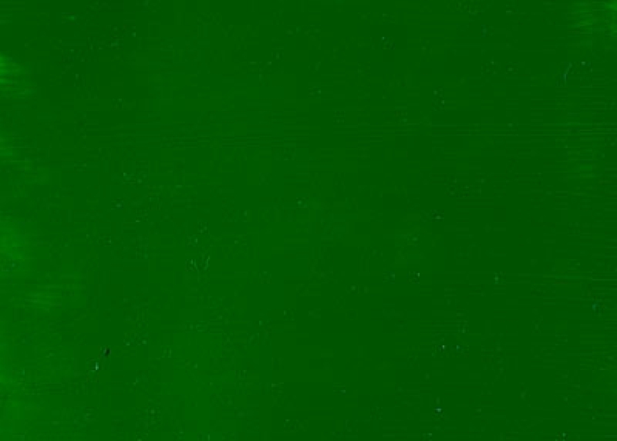 Knorr Prandell Waco Lederfarbe Leather Color grün