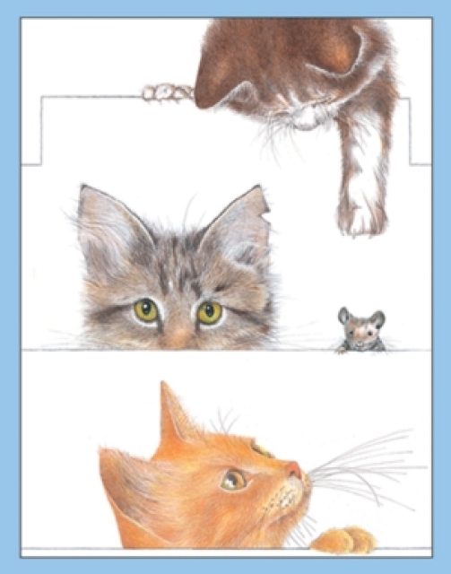 Caspari Minikarte mit Umschlag Set mit 4 Stück in Kitties