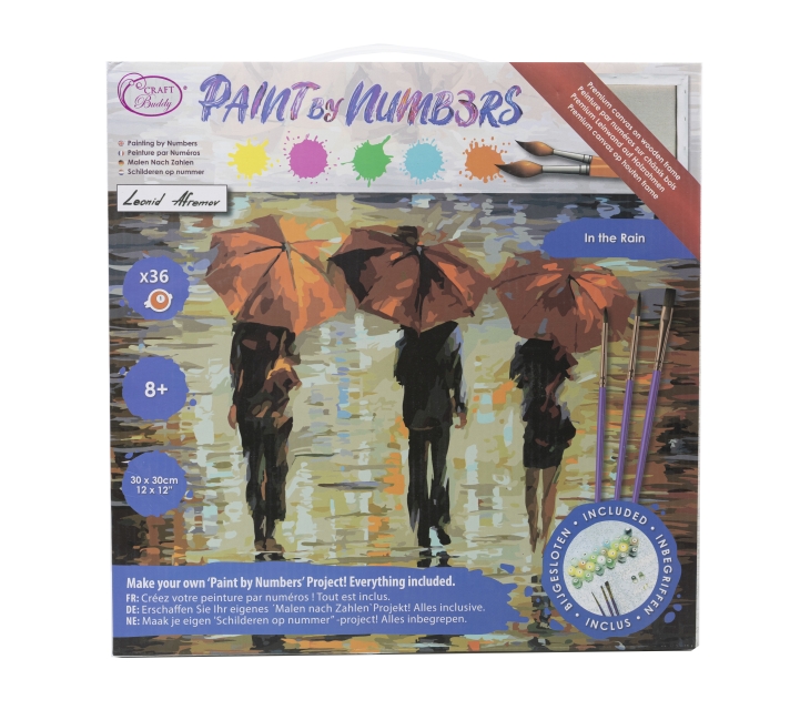 Craft Buddy PBN-3030-15 Painting by Numbers Framed Kit Malen nach Zahlen In The Rain