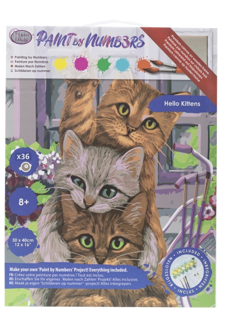 Craft Buddy PBN-3040-26 Painting by Numbers Framed Kit Malen nach Zahlen Hi Kittens