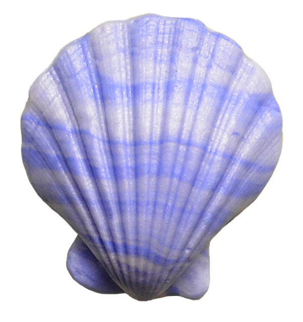 VIVA Decor Patchy 3D Silikonform Muscheln 10 Motive