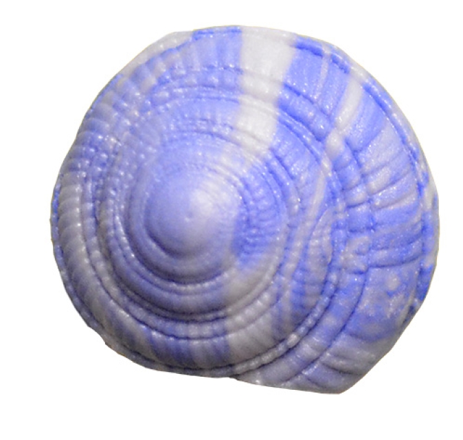 VIVA Decor Patchy 3D Silikonform Muscheln 10 Motive