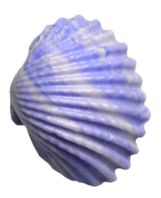 VIVA Decor Patchy 3D Silikonform Muscheln 10 Motive