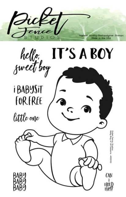Picket Fence Studios Clear Stamps Baby Boy of All Seasons