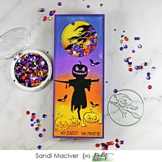 Picket Fence Studios Die / Schneideschablone Witch Slim Line 4 x 4 Die Cutting System Insert