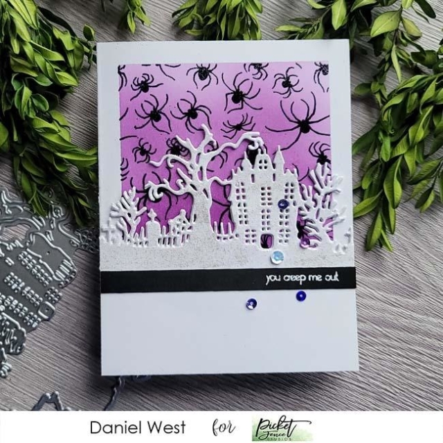 Picket Fence Studios Clear Stamps Transparente Stempel 4 x 4 inch Marching Spiders