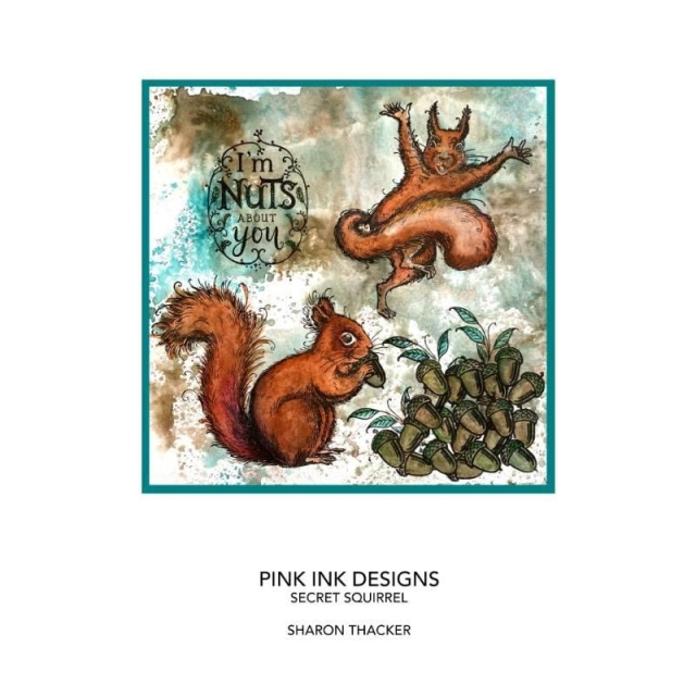 Pink Ink Designs A5 Clear Stamp Transparente Stempel Secret Squirrel