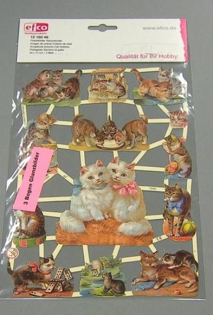 Poesiebild 24 x 17 cm Katzenkinder