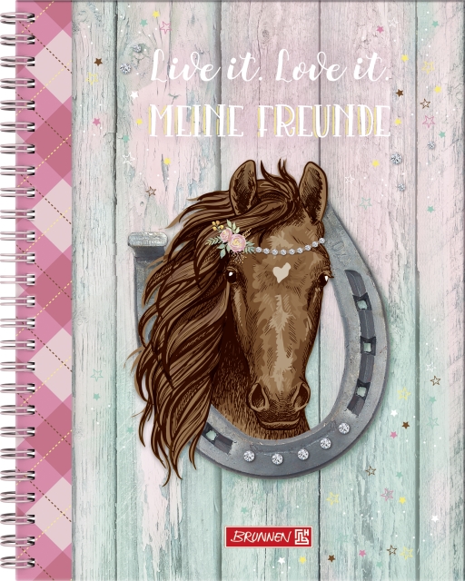 BRUNNEN Freundebuch Ponylove
