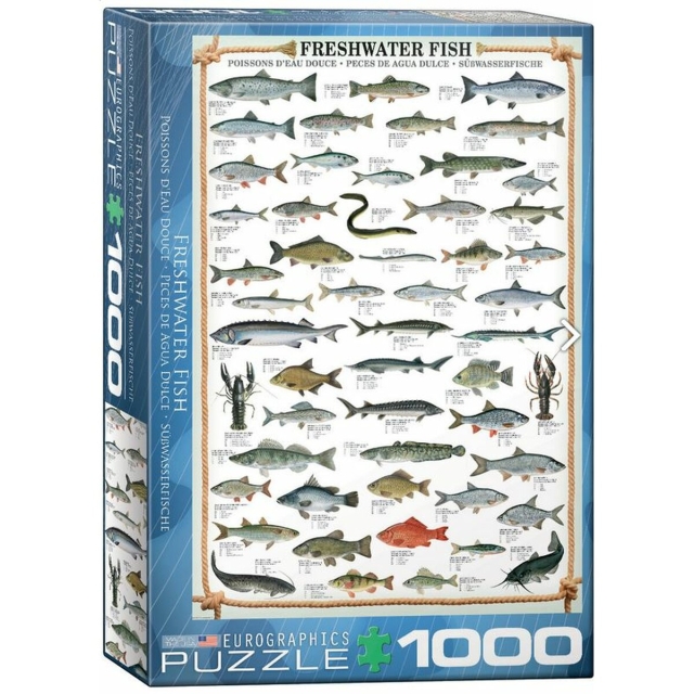 Eurographics Puzzle mit 1000 Teilen Freshwater Fish Süßwasserfische