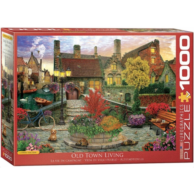 Eurographics Puzzle mit 1000 Teilen Hometown by Dominic Davison Old Town Living