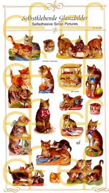 Selbstklebende Glanzbilder Katzen