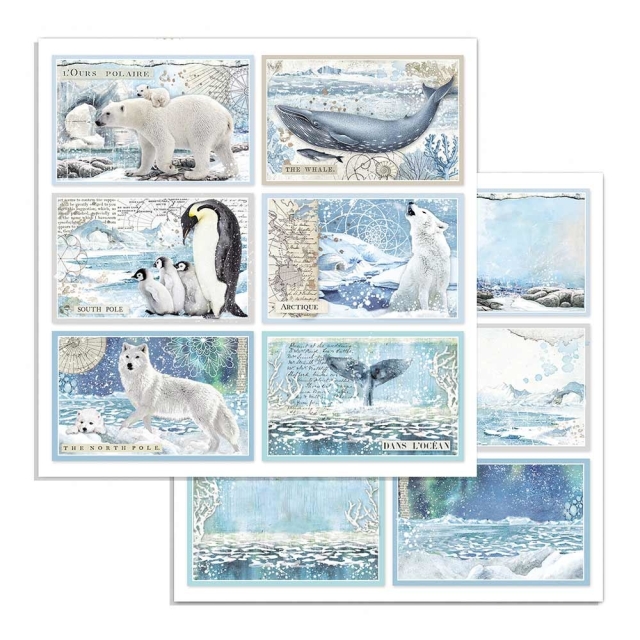 Stamperia Doppelseitiges Papier Antarctic Cards