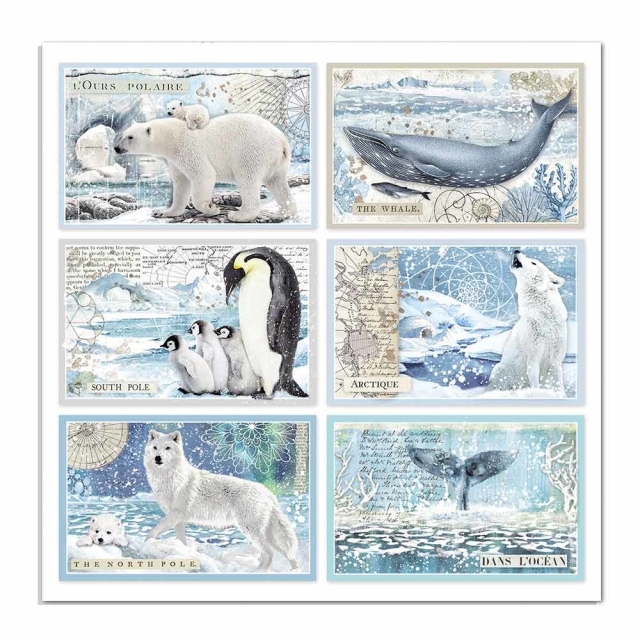 Stamperia Doppelseitiges Papier Antarctic Cards