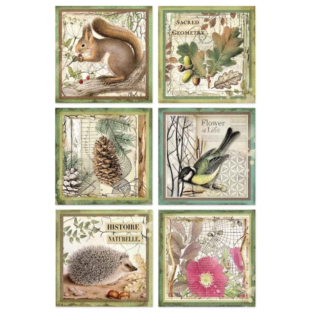 Stamperia A4 Rice Paper Reispapier packed Framed Animals