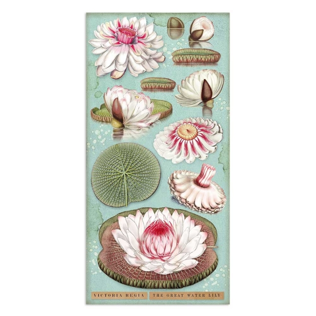 Stamperia 6 x 12 Inch Paper Pack Doppelseitiges Papier Amazonia