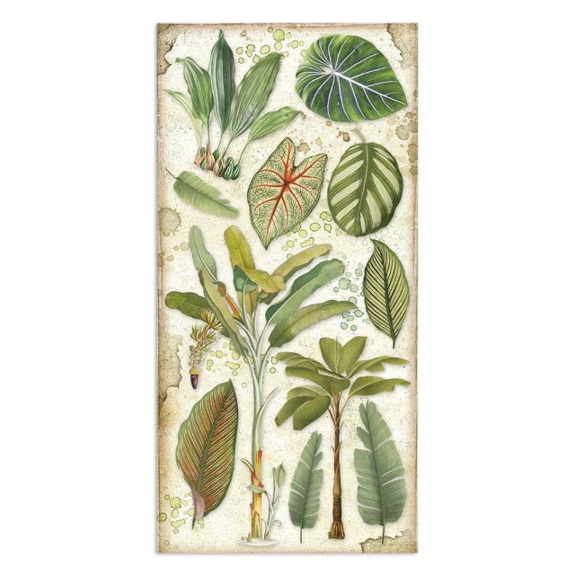 Stamperia 6 x 12 Inch Paper Pack Doppelseitiges Papier Amazonia