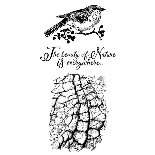 Stamperia Natural Rubber Stamp Cosmos Bird