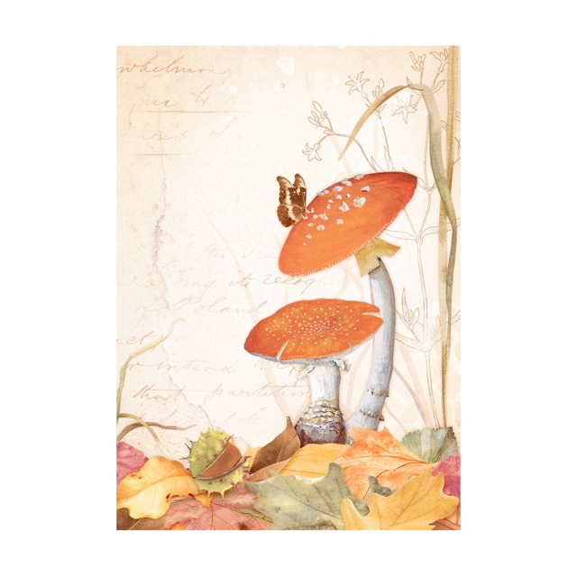 Stamperia A6 Rice Paper Reispapier Set Woodland Backgrounds