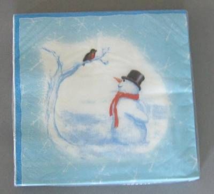 Schneemann und Vogel