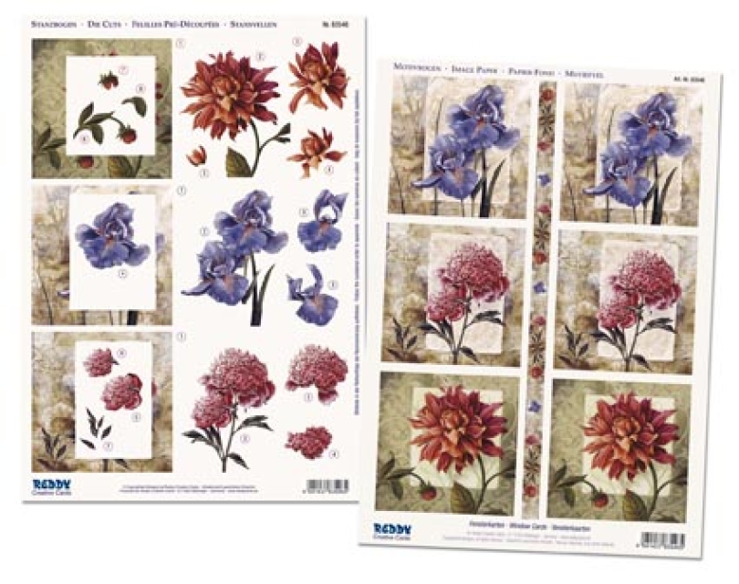 Reddy Cards  Set 3D Stanzbogen mit Hintergrundbogen "Fensterkarten Blumen"