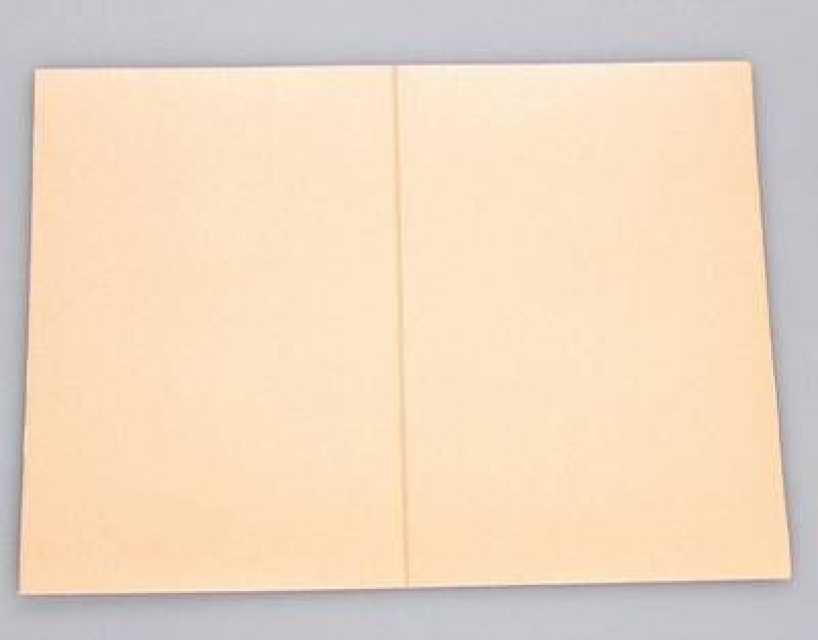 Grußkarte 10,2 x 15,2 cm apricot