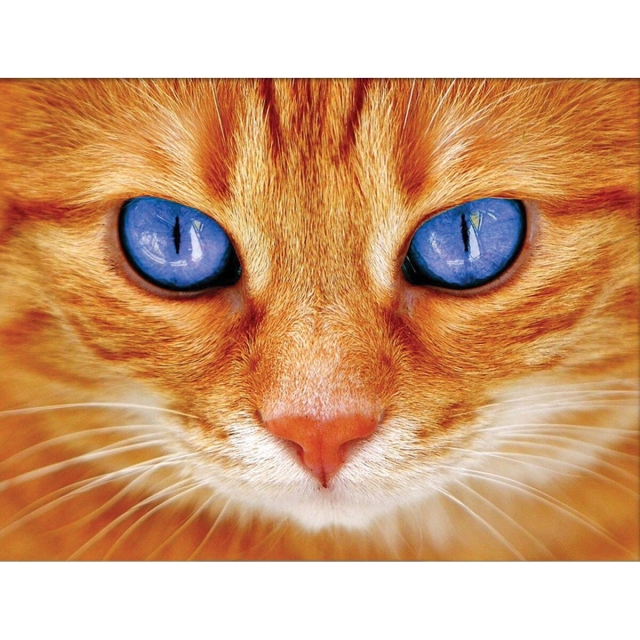 Artibalta AZ-1716 - Diamond Painting Kit Katze mit blauen Augen
