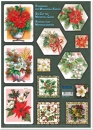 Reddy Cards Bastelpackung Wasserfallkarten, Weihnachtsblumen