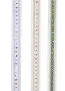 Borte Punkte irisierend ca. 12 mm pro Meter creme