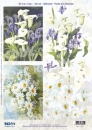 3D Stanzbogenset Blumen, Calla und Margeriten
