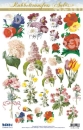 Reddy Cards Rubbelbilder Blumen 1