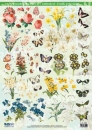 Reddy Cards 3D Stanzbogen Mini Blumen I