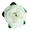 Flowerz Romantic Roses White
