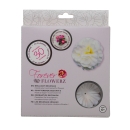 Flowerz Brilliant Begonias White