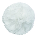 Flowerz Classic Carnations / Klassische Nelken White