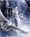 Craft Buddy PBN013 Painting by Numbers Framed Kit Malen nach Zahlen Midnight Messenger
