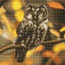 Craft Buddy CAK-A97M Framed Crystal Art Holzrahmen Tawny Owl