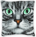 Craft Buddy CA-CKT2 Crystal Art Cushion Kit 30 x 30 cm Sharon