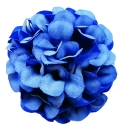 Flowerz Cute Camelias / Kamelien Sapphire